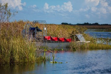 Marsh Everglades Milli Parkı'nda, Flo ile tekne turu