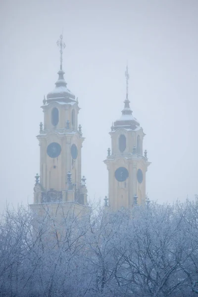 Mat ve sisli kış günü Vilnius, Litvanya — Stok fotoğraf