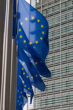 Satır, AB Avrupa Birliği önünde, idari uçan bayraklar