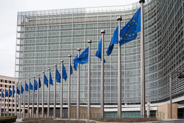 Linha das bandeiras da União Europeia que arvoram em frente às autoridades administrativas — Fotografia de Stock