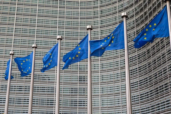 Fila de banderas de la Unión Europea ondeando frente a la administración — Foto de Stock