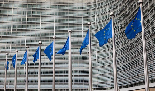 Linha das bandeiras da União Europeia que arvoram em frente às autoridades administrativas — Fotografia de Stock