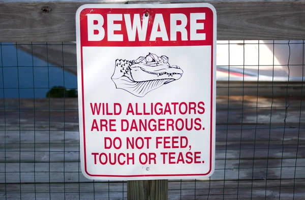 Остерегайтесь знака аллигаторов — стоковое фото