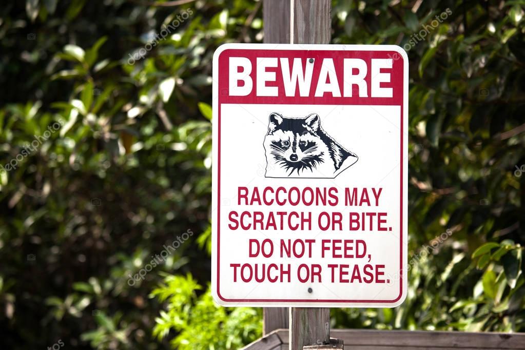 Beware of raccoons sign 
