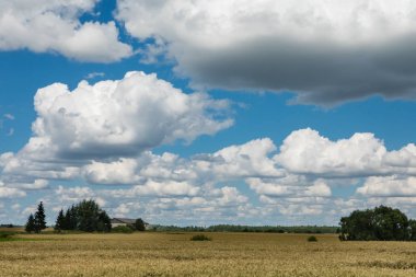 Beyaz kabarık cummulus bulutlar