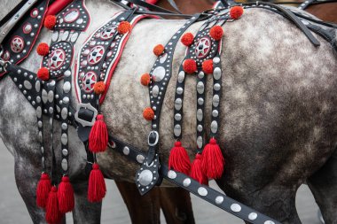Saddlery of dapple-grey horse clipart