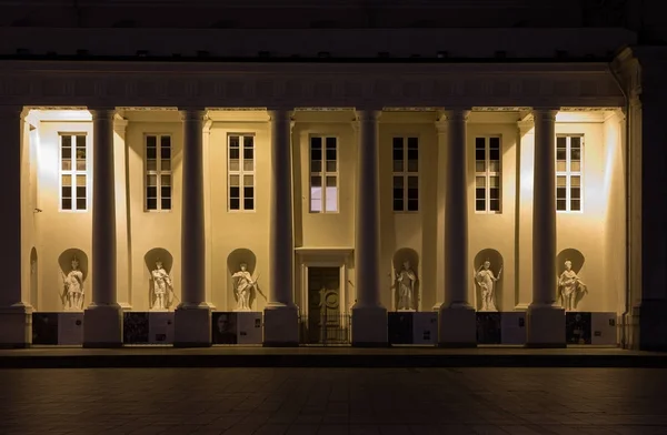 Vilnius Litouwen November 2017 Kathedraal Van Vilnius Nacht Kathedraal Basiliek — Stockfoto