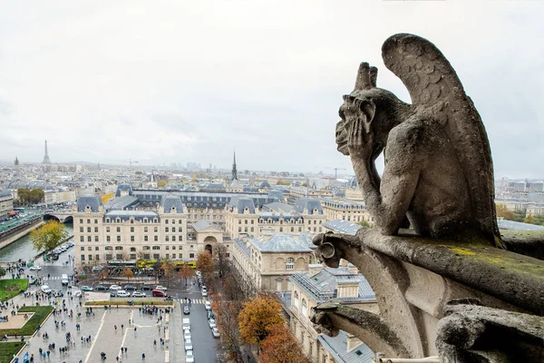 Gargoyle di Notre Dame de Paris — Foto Stock