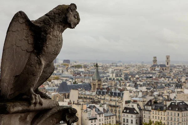石像鬼的巴黎圣母院巴黎 — 图库照片