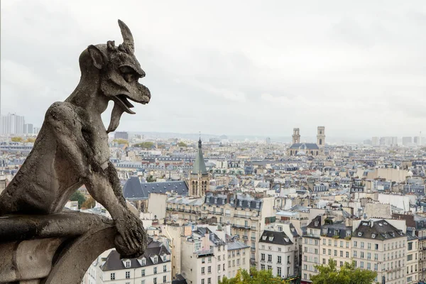 石像鬼的巴黎圣母院巴黎 — 图库照片