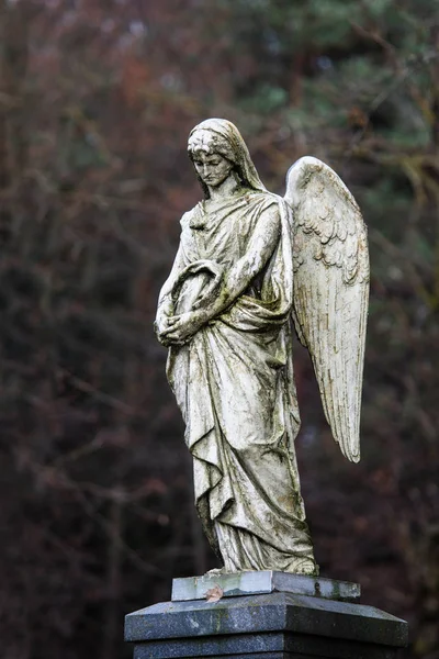 Estátua do anjo de luto em algum cemitério lituano — Fotografia de Stock
