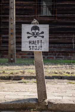 Auschwitz toplama kampı