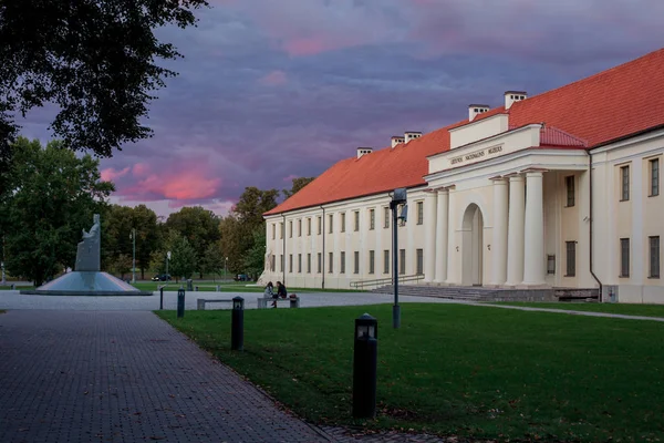 A Litván Nemzeti Múzeum — Stock Fotó