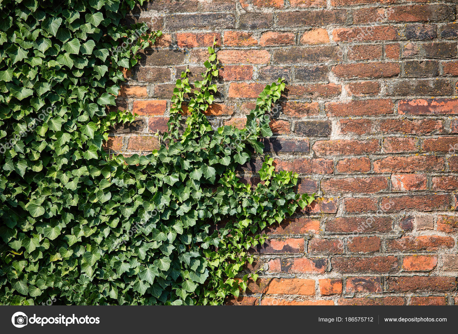 Stockfoto © Birute #186575712 Stockfoto © Birute #186575712