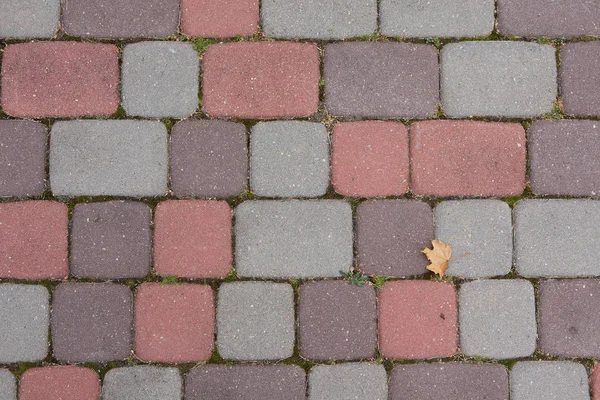 Carreaux de ciment de pavage — Photo