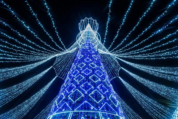 Kerstboom van Vilnius 2019 — Stockfoto