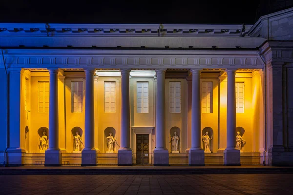 De kathedraal van Vilnius in de nacht — Stockfoto