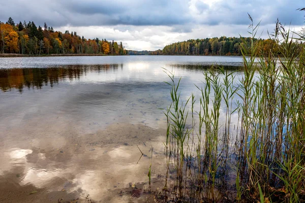 Vasaknas sjö i Litauen — Stockfoto