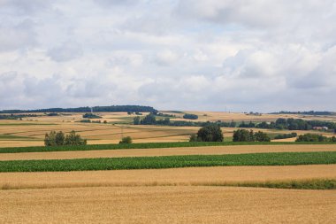 Huzurlu kırsal manzara