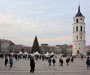 Vilnius christmas tree 2013