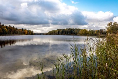 Litvanya'da Vasaknas gölü