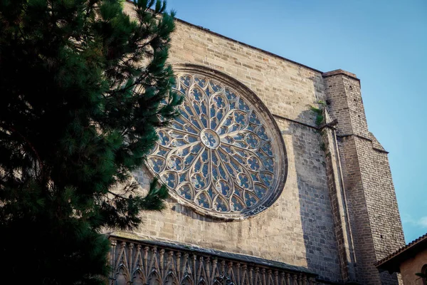 Rosette of gothic church Santa Maria del Pi — Stok fotoğraf