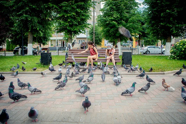 Gusev Russia June 2019 Young Girls Sit Bench Feed Pigeons — Stockfoto