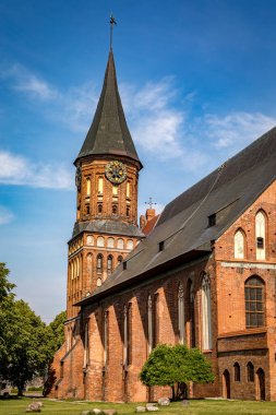 Kaliningrad 'daki Kant Adası' ndaki Konigsberg Katedrali