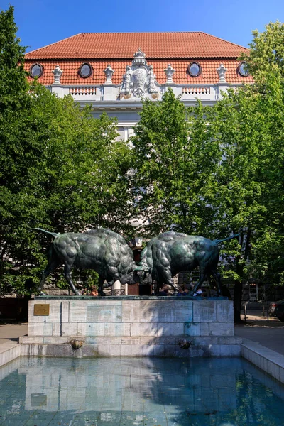 Kaliningrado Rusia Junio 2019 Lucha Contra Los Bisontes Composición Escultórica — Foto de Stock