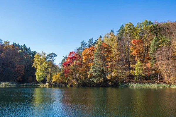 Yeşil Göller Zalieji Ezerai Çevresindeki Sonbahar Yaprakları Verkiai Bölgesel Parkı — Stok fotoğraf