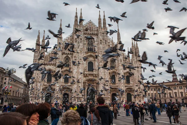 意大利米兰 2012年11月3日 游客们参观了意大利最大的大教堂Duomo Milano 而一群鸽子在头顶飞行 令人惊讶 大教堂是这个城市的主要地标 — 图库照片