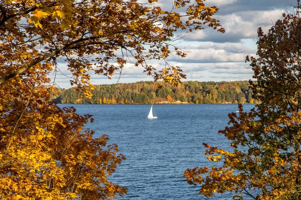 Hösten Parken Kring Pazaislis Kloster Och Besökskyrkan Kaunas Litauen Utsikt — Stockfoto