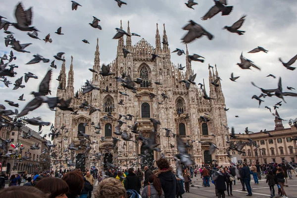 ミラノ イタリア 2012年11月3日 観光客はイタリア最大の大聖堂 ドゥオモ ミラノを訪れ ハトの群れは驚くほど頭上を飛ぶ 大聖堂は市の主要なランドマークです — ストック写真