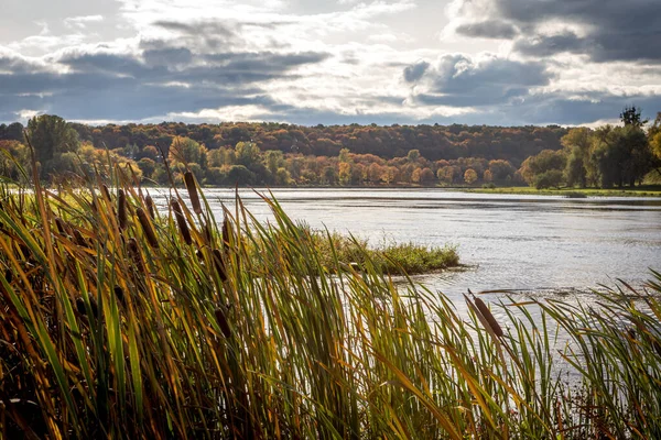 Herbst Litauen Der Längste Fluss Litauens Nemunas Bei Der Panemune — Stockfoto