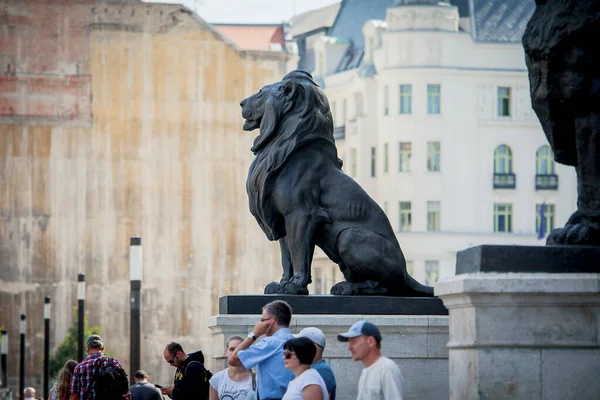 匈牙利布达佩斯 2017年8月15日 布达佩斯议会大楼附近的狮子雕塑 — 图库照片