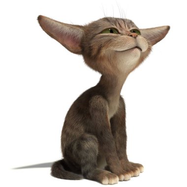 Tek başına oturan kedi