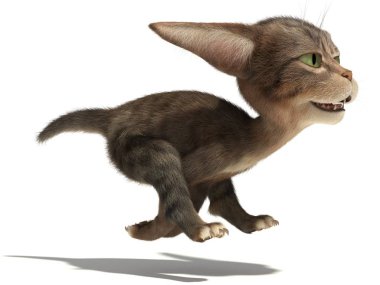 Hızlı bir şekilde yavru kedi  