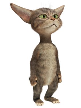 arka ayakları üzerinde duran kedi