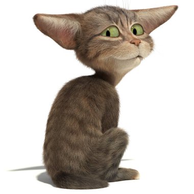 Tek başına oturan kedi 