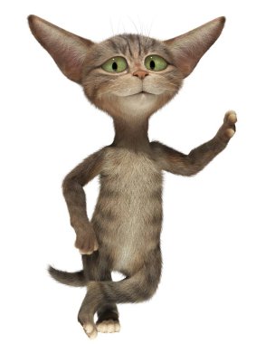 Kedi duvara karşı pençe eğildi