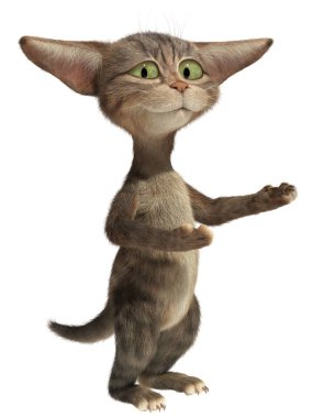 Kedi bir şey pençeleri ile gösterir