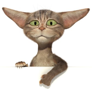 Boş duvarda pençe ile Kedi noktaları