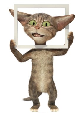 Resim çerçevesi ile poz yavru kedi