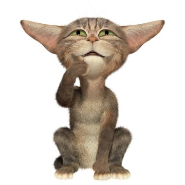 yavru kedi oturma ve yukarıya bakıyor