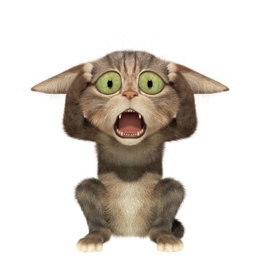 Yavru kedi holding başkanı