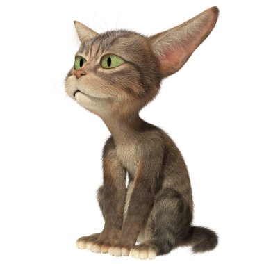 Yavru kedi oturma ve seyir