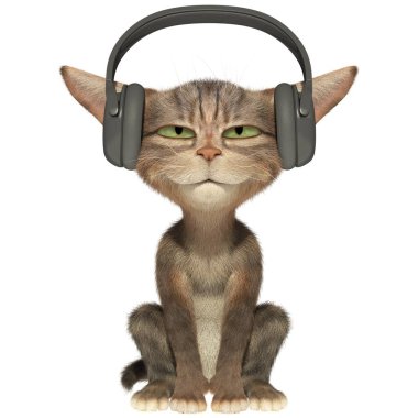 Yavru kedi kulaklık müzik dinler