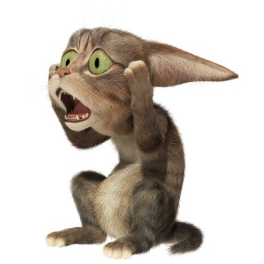 Yavru kedi holding başkanı