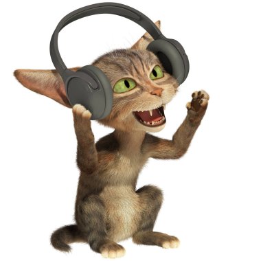 Yavru kedi müzik dinliyor