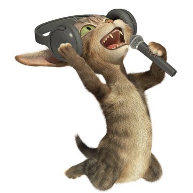 Kedi kulaklıklar müzik dinler